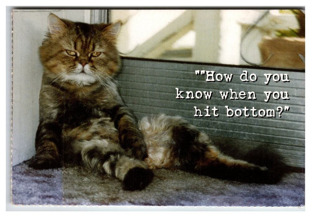 Rocco the "Bad Cat" Postcard - Humorous Feline "Hit Bottom" Quote